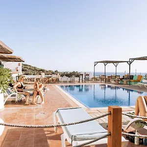  Auberge de jeunesse The Tree House Tenerife Espagne