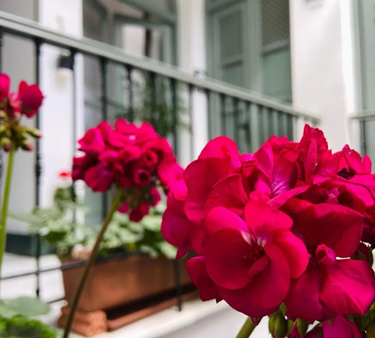 Bed & Breakfast La Gitanilla Alojamiento & Encanto Jerez Jerez de la Frontera Spain